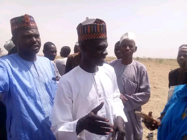 Field activities